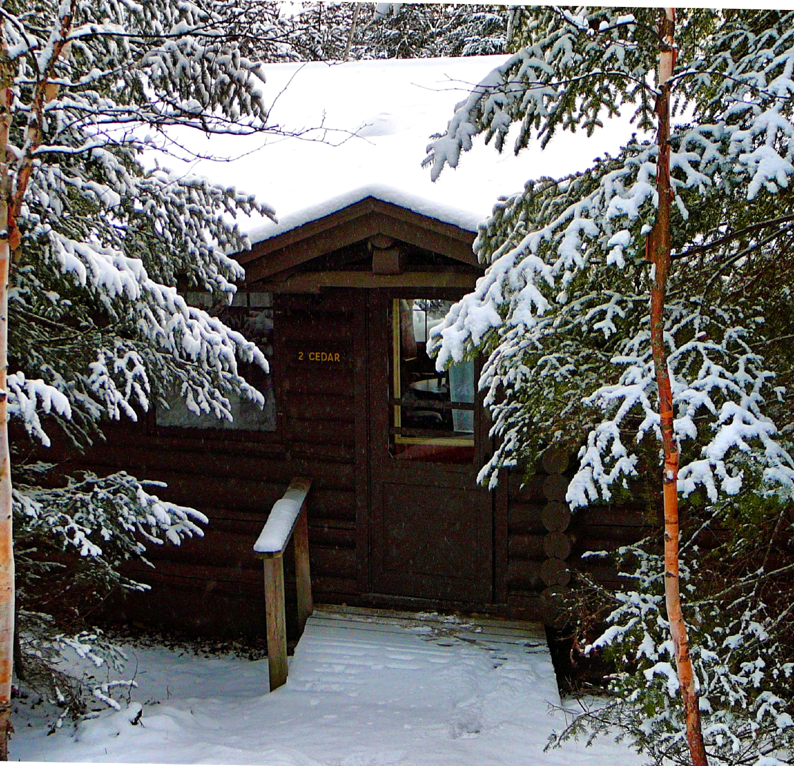 Log cabin in the winter surrounded by pine trees