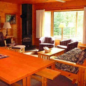 Living room area of a log cabin with wood stove, plaid chairs, and dining table