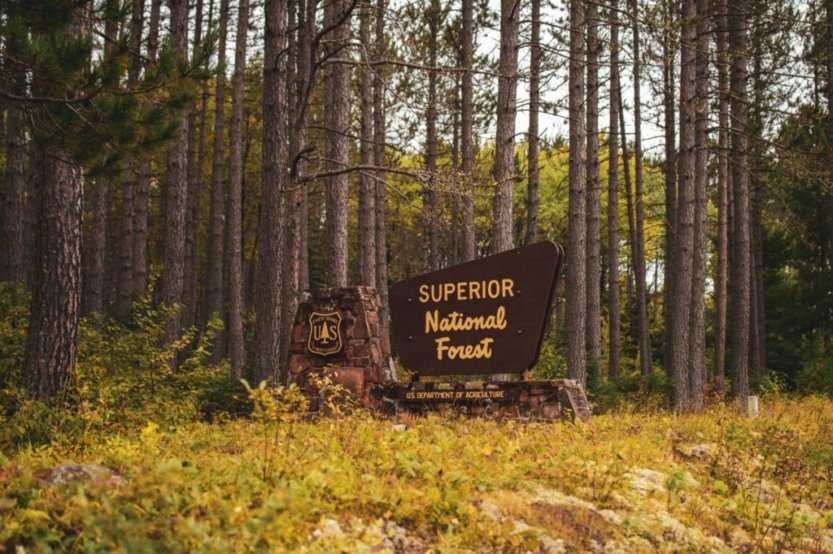 Superior National Forest Sign on fall day