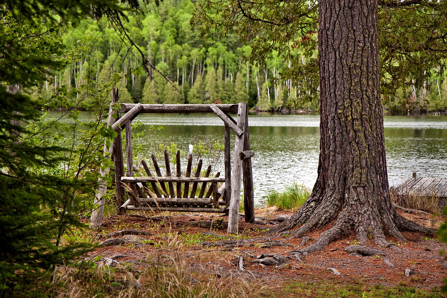 View from behind of a bench swing overlooking a lake