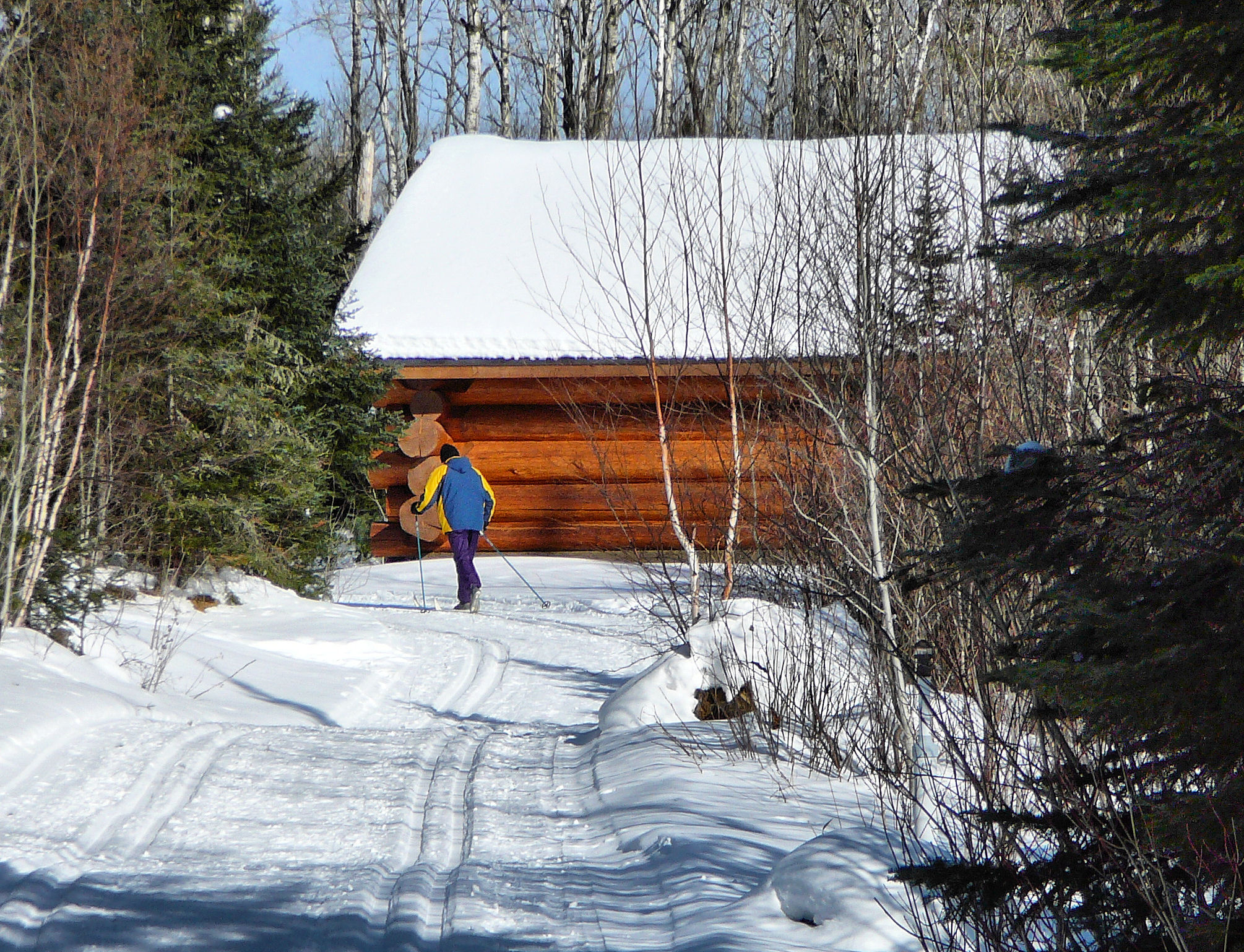 Cross country skier skiing towards log cabin in the winter