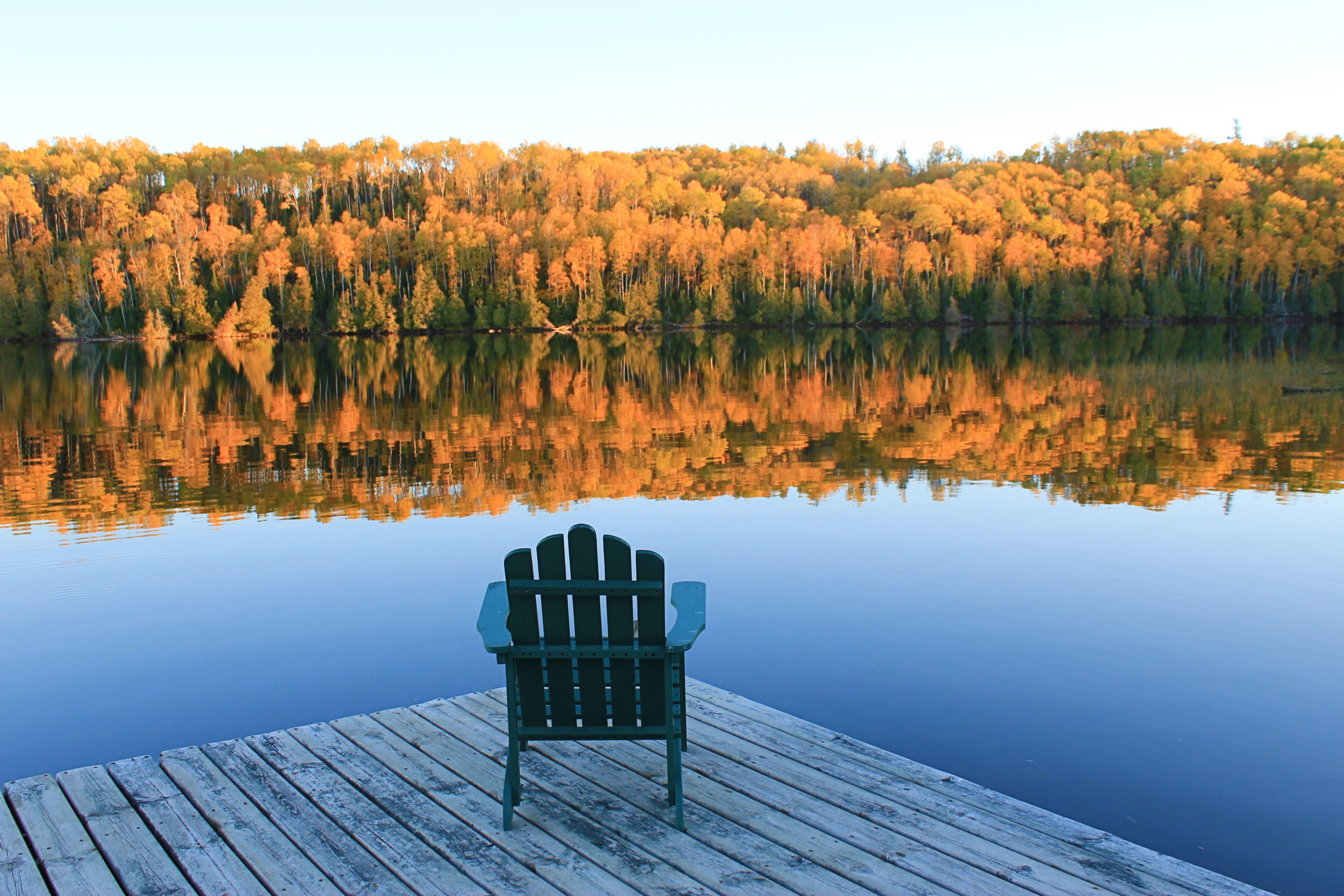 Deck chair sitting on dock overlooking green lake with forest in background