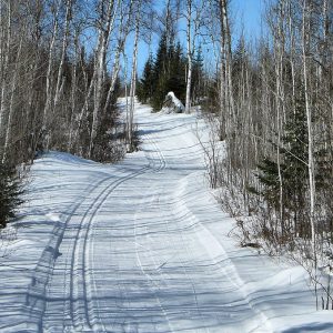 North South Link Trail freshly groomed in the winter on a sunny day
