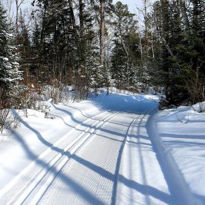 Oxcart ski trail freshly groomed in the winter
