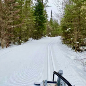Groomed ski trails in the woods in winter.