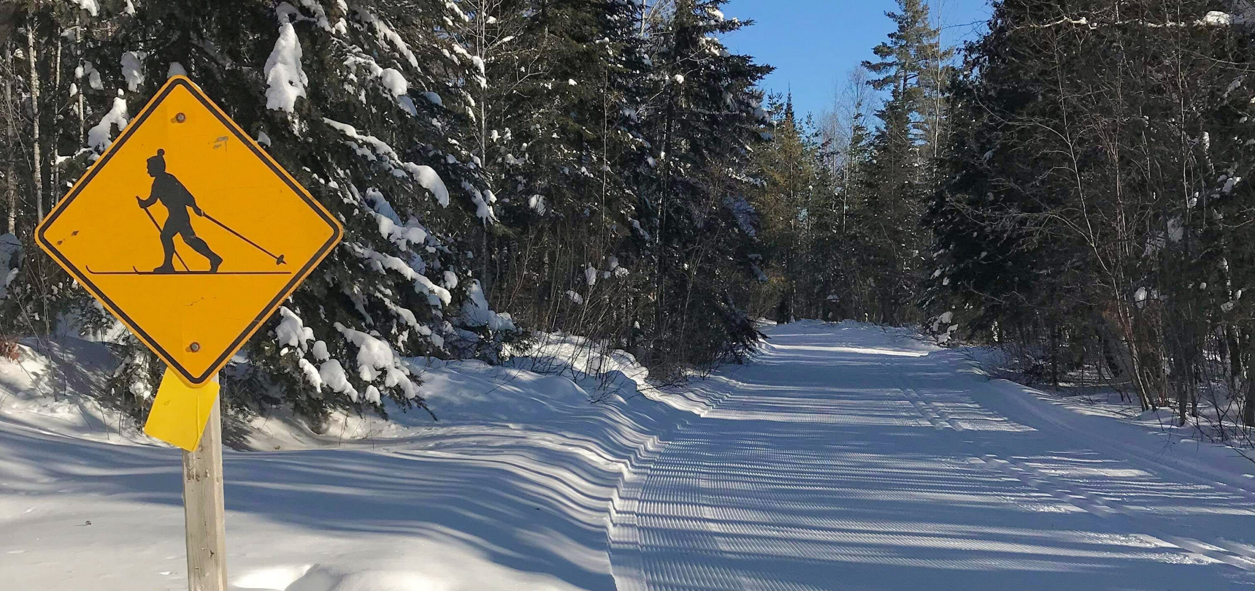 Corduroy ski trails at Bearskin Lodge
