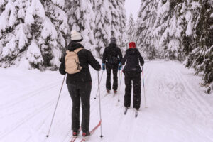 three cross country skiers in the woods while it snows